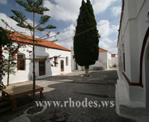 Tree at the church of Gernnadi in Rhodes - Greece